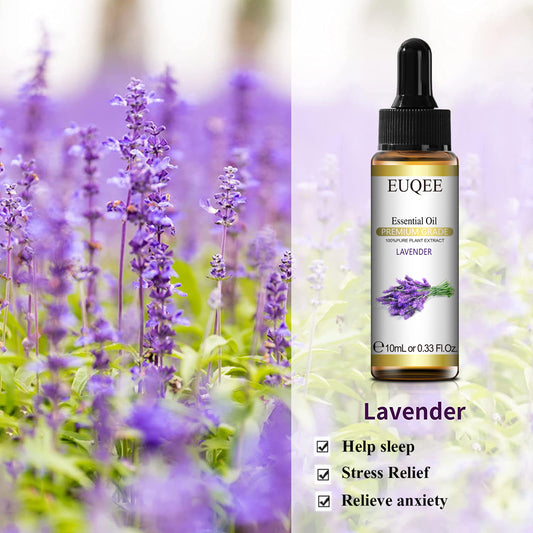 Lavender Essential Oil Dropper, 10ml